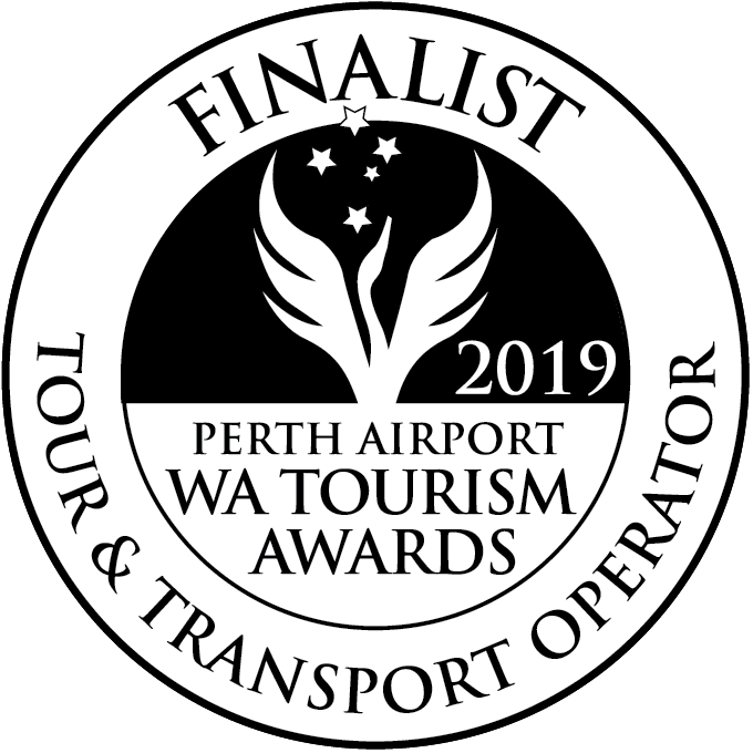 Perth Airport Wa Tourism Awards Tour & Transport Operator