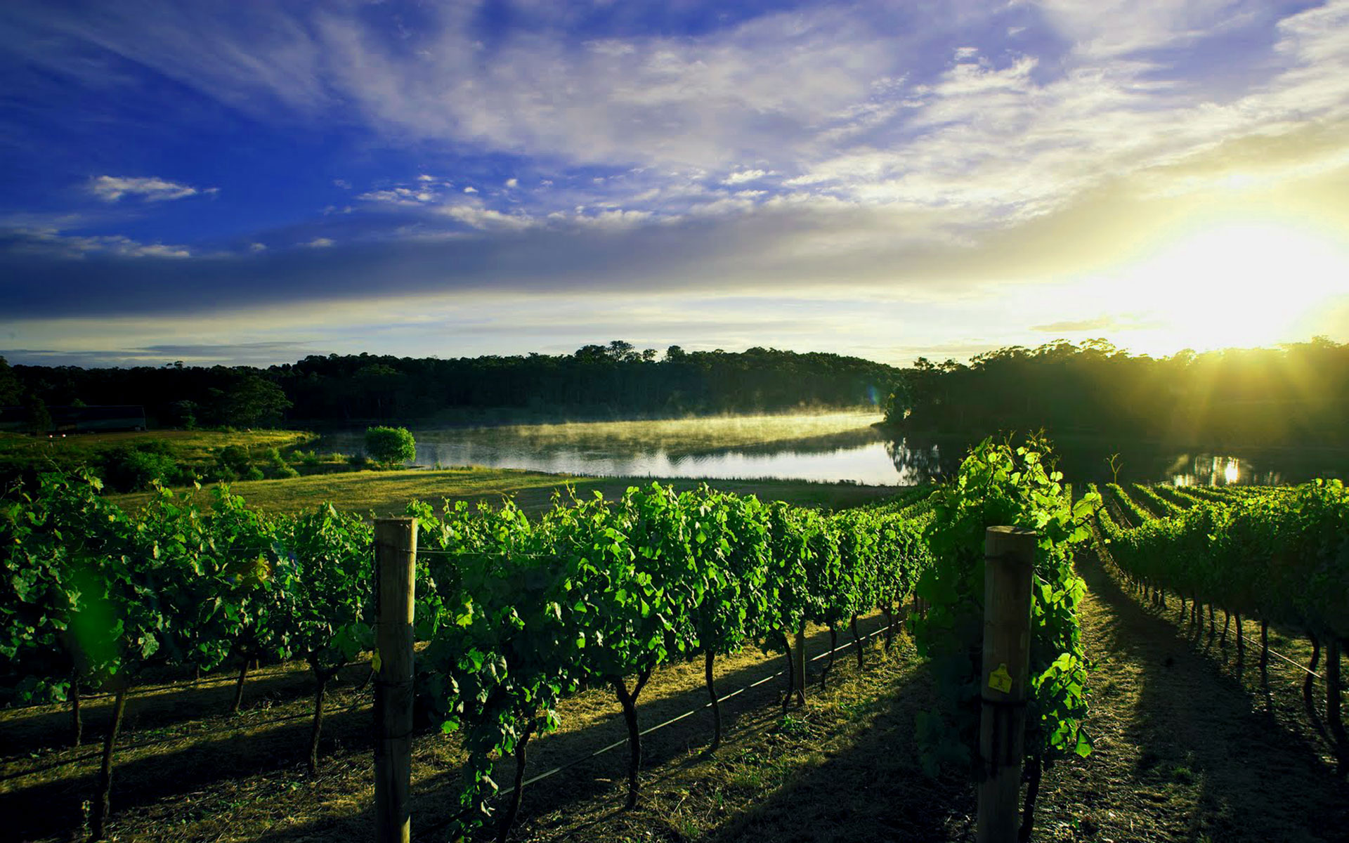 Sunny Skies at Margaret River