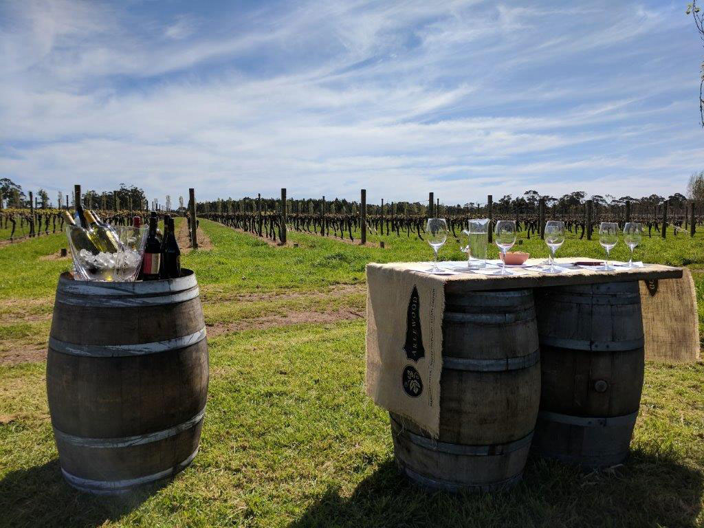 A private wine tour in a Margaret River vineyard