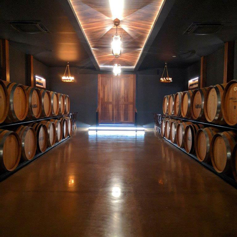 A wine tour showcasing barrels of wine and wine storage