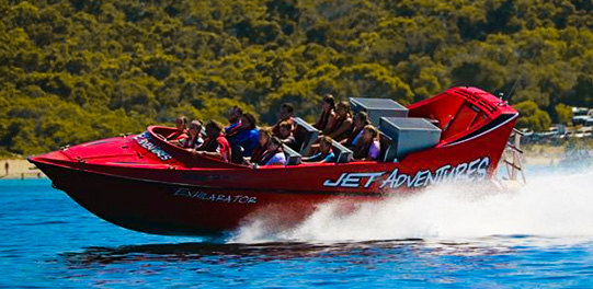 Whale Watching Tours in Margaret River