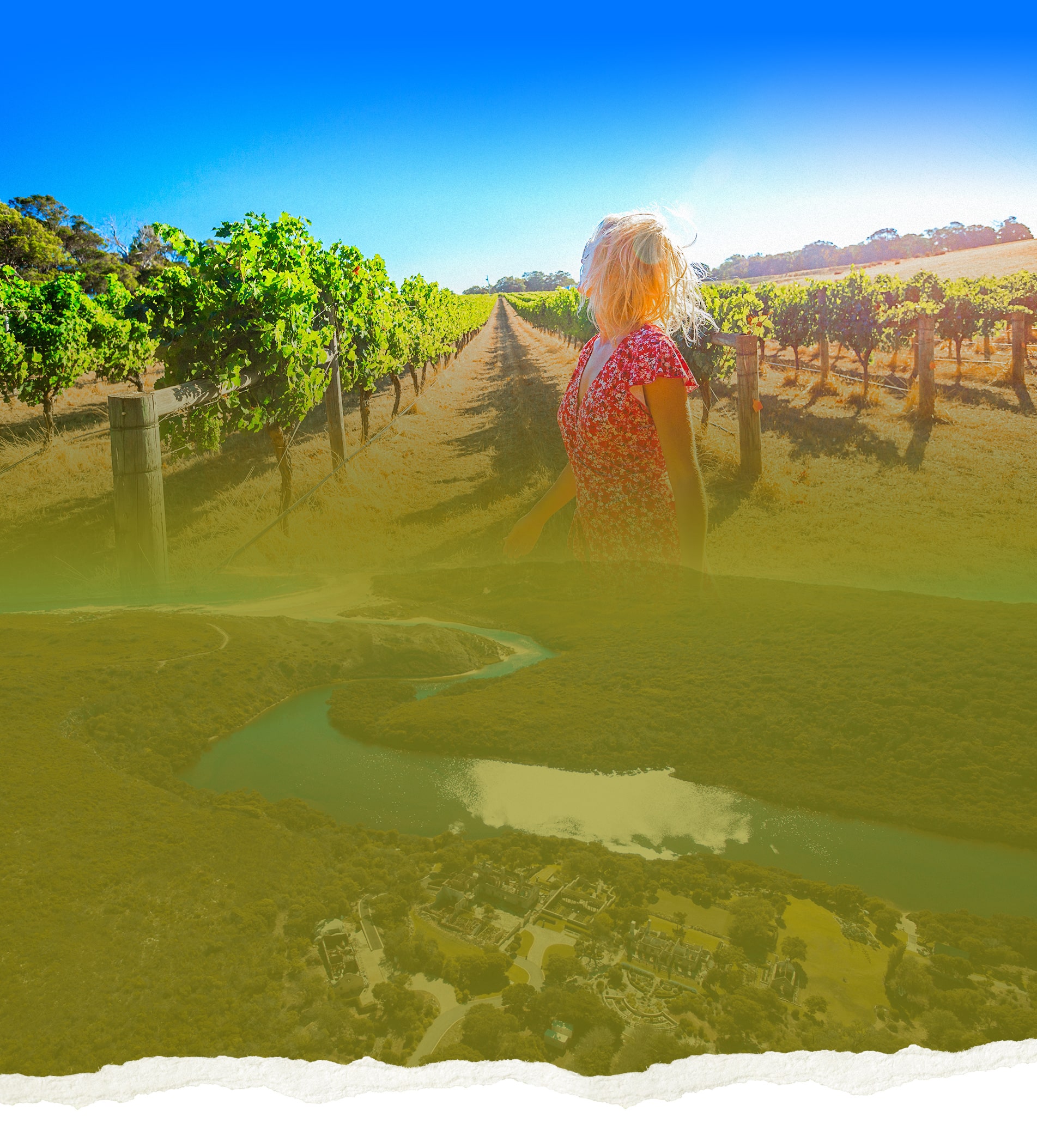 margaret river tours full day gourmet wine and dine tour