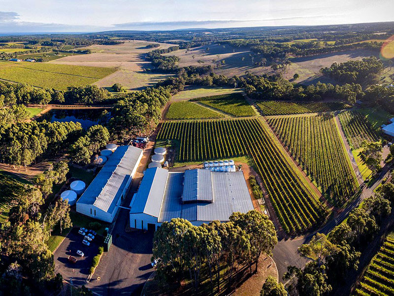 Vineyard Wine and Food Tour
