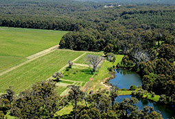 vineyard in margaret river tours