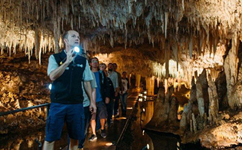 Indulge and Discover Cave Tour