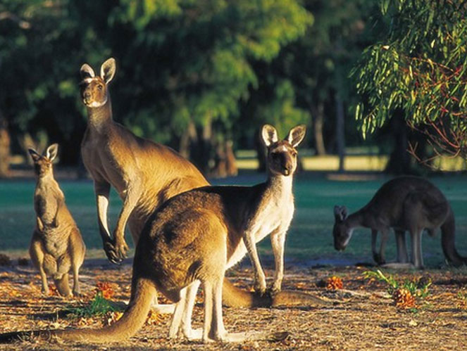 margaret river experience