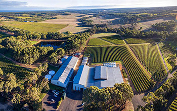 Food and Wine Tours Margaret River at a vineyard