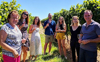 Half Day Wine and Food Tour