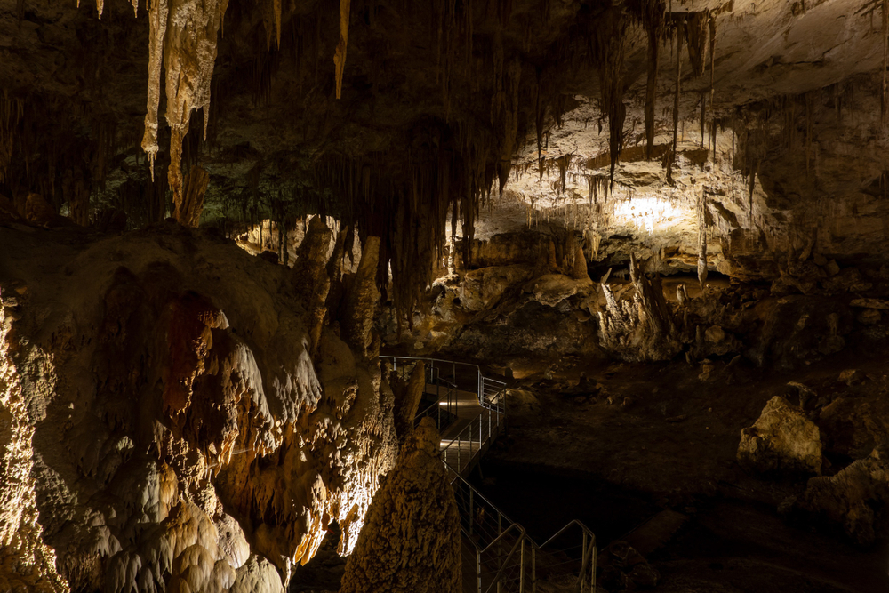 Mammoth Cave in Margaret River, Western Region