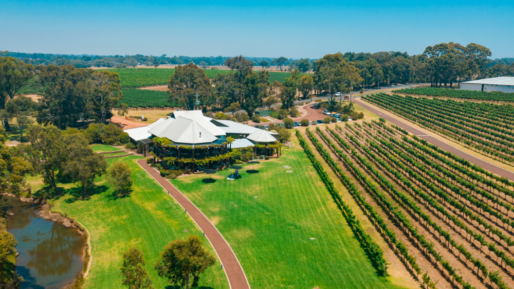 Aerial view of Vasse Felix Estate vineyard - Harvest Tours 