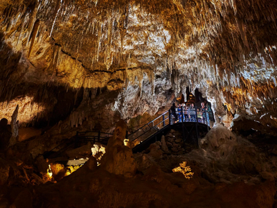 Ngilgi Cave - Harvest Tours