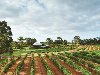 Vasse Felix - Harvest Tours