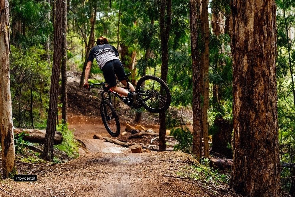 Mountain biker riding on Stumpel Stiltskin, The Pines