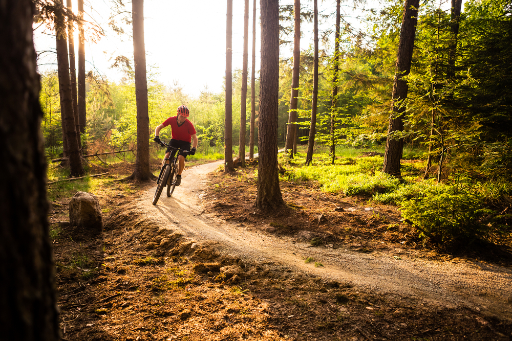 Mountain biker riding on bike spring trail