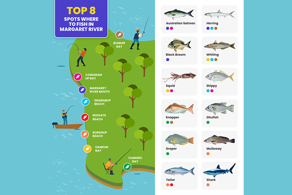 Infographic on Fishing areas and types of fish found